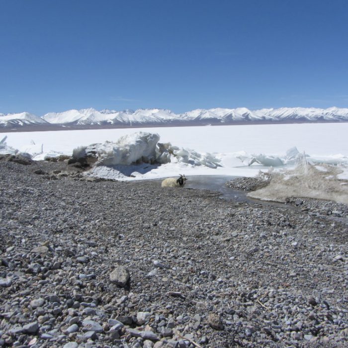 Tibet 2012 0577 1