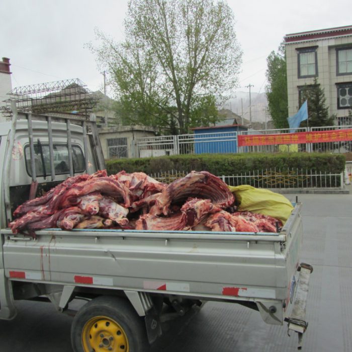 Tibet 2012 0590