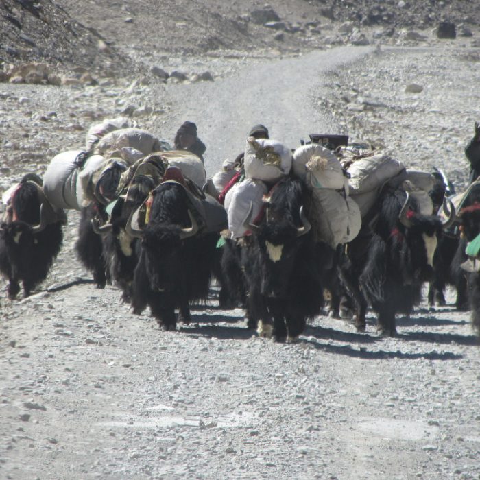 Tibet 2012 1238
