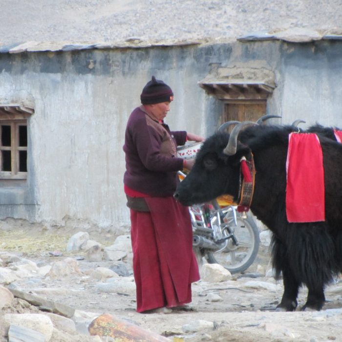 Tibet 2012 1350