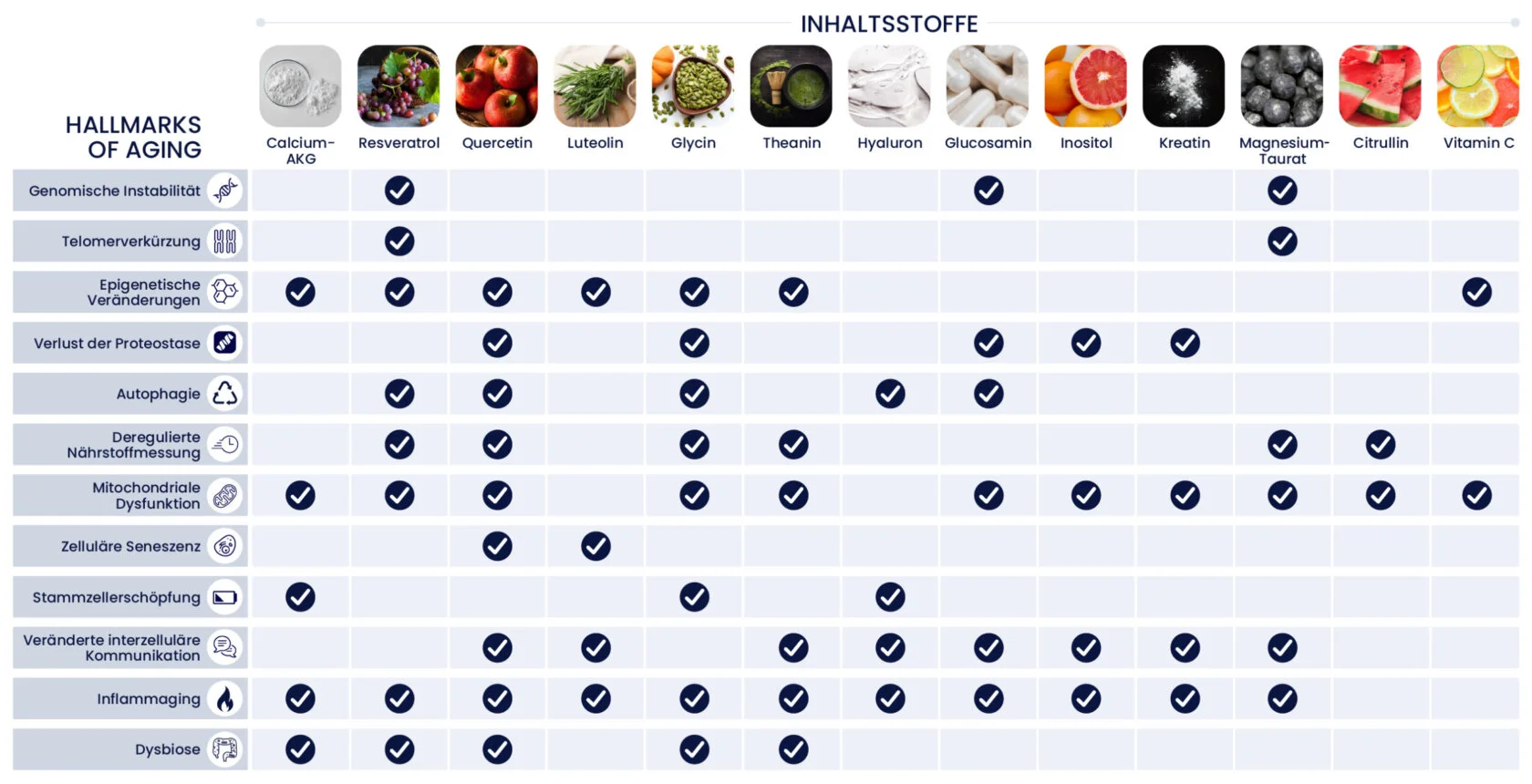 ONE von Moleqlar jetzt 10% Rabatt mit Rabattcode "Foodcoach10"